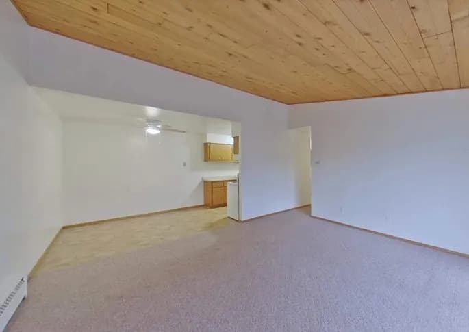 FOREST VIEW APARTMENTS - Apartment - 11