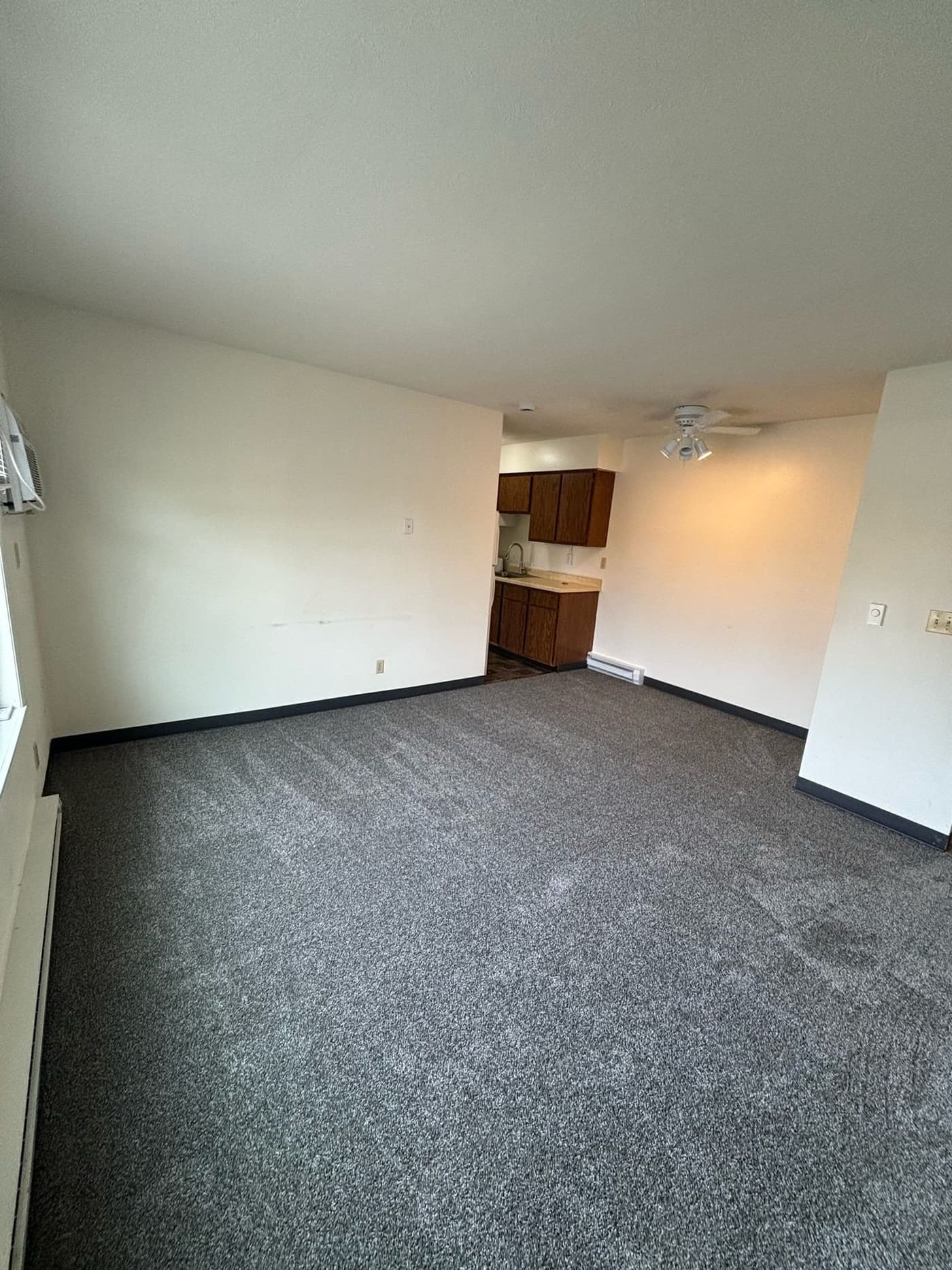 Rockford apartments for rent - image - original.jpg_7.jpeg