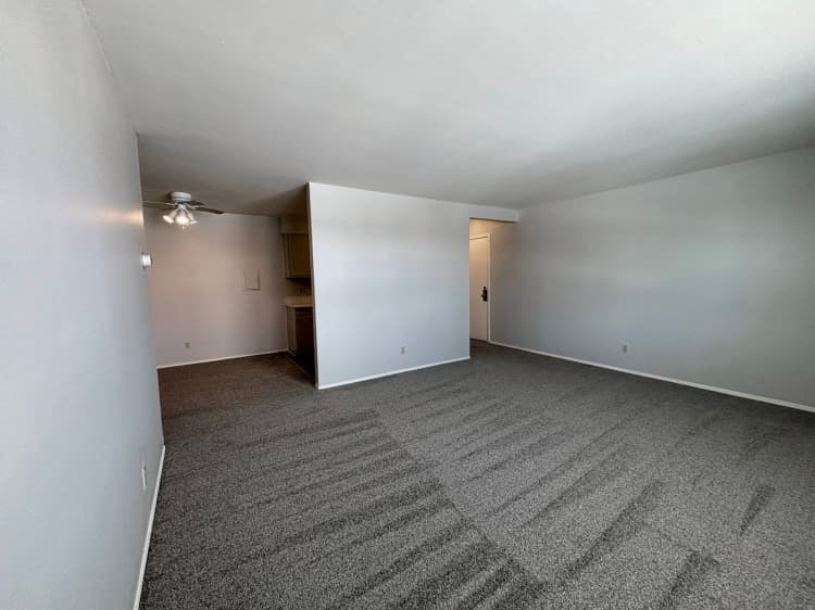 undefined apartments for rent - image - large.jpg_11.jpeg