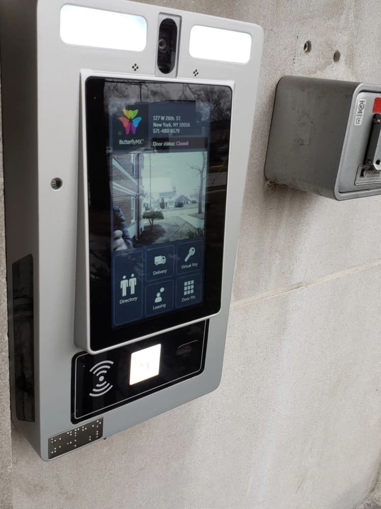 undefined apartments for rent - image - Butterfly+closeup-1920w.webp